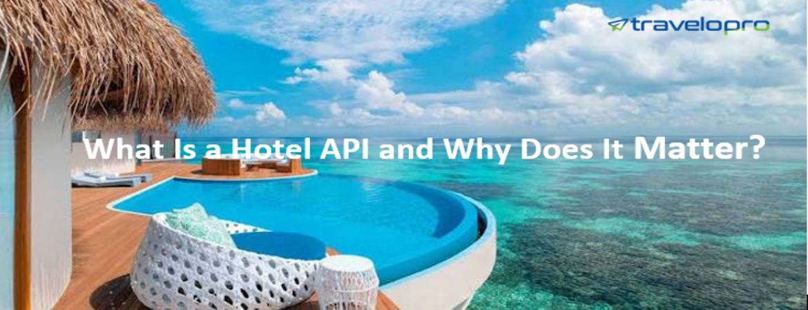 What is a Hotel API and Why Does It Matter ?